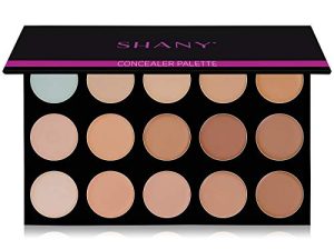 SHANY Masterpiece 15 Color Foundation، Concealer، Camouflage Palette / Refill - TONED